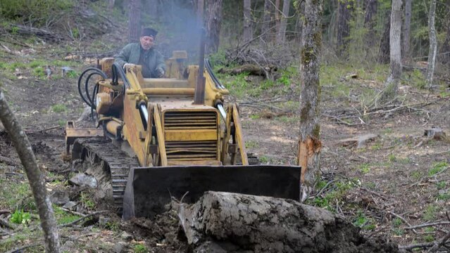 RUSPA NEL BOSCO APRE STRADA FORESTALE