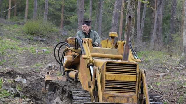 RUSPA NEL BOSCO APRE STRADA FORESTALE