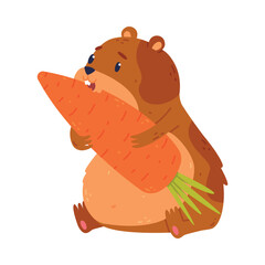 Cute pet hamster eating carrot, funny brown rodent pet animal cartoon vector illustration