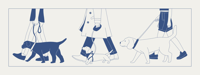 A man walks a dog on a leash. Different breeds of dogs on a walk. Dog show or dog walking in the city or in the park. Vector flat contour graphics.