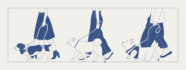 A man walks a dog on a leash. Different breeds of dogs on a walk. Dog show or dog walking in the city or in the park. Vector flat contour graphics.