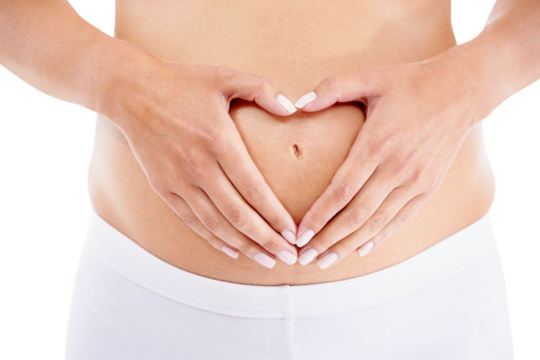 Hands, heart shape and stomach with pregnancy, love and care with wellness by png background. Closeup, isolated woman and emoji for mother with natural development, healthy growth or future with baby