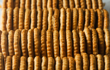 Several round biscuits with peanut butter arranged in a tight row in a transparent plastic container
