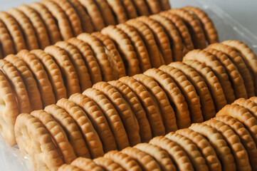 Several round biscuits with peanut butter arranged in a tight row in a transparent plastic container