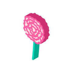 carnation blossom spring isometric icon vector illustration