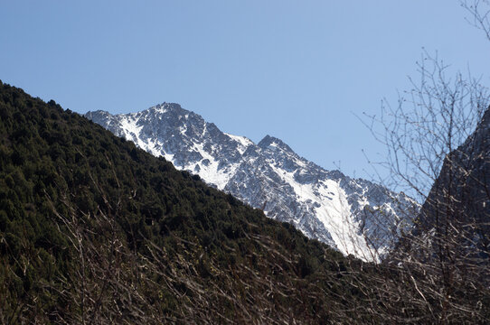 Alamedin river gorge spring mountain landscape