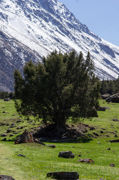 Alamedin river gorge spring mountain landscape