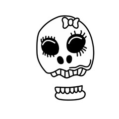 skull bone illustration