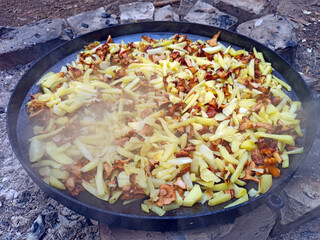 Fried chanterelles and potatoes. Cooking delicious dish of mushrooms