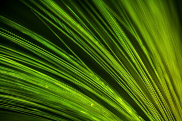 Obraz premium Green Fiber Optics concept Data Transfer