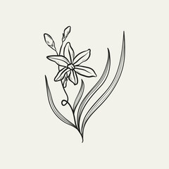 Naklejka premium Botanical drawing. Minimal plant logo, botanical graphic sketch drawing, meadow greenery, leaf and blooming flower abstract sketch element collection, rustic branch. Trendy tiny tattoo design, floral