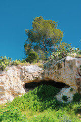 a rock formation with a tree growing out of it