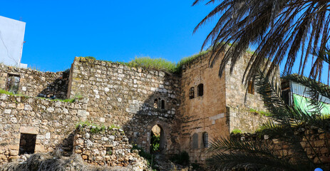 Fototapeta na wymiar a stone building with a palm tree