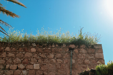 a stone wall with grass growing on top of it