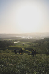 a group of people standing on top of a lush green hillside