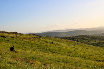 a person sitting in the grass on a hill
