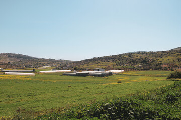 a grassy field with a hill in the background