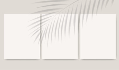 Tropica Leaves Shadow Mockup With Transparent Background