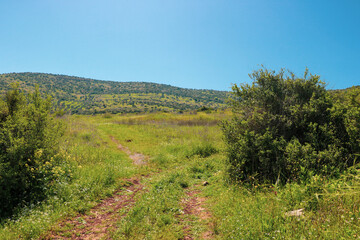 a dirt road in a grassy field with a mountain