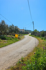 a dirt road in a grassy field with a mountain