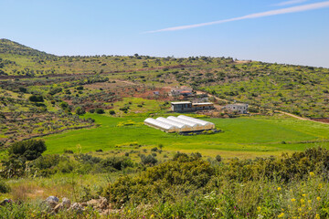 a grassy field with a hill in the background