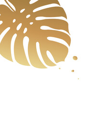 Golden Tropical Leaves With White Background