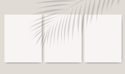 Paper Banner With Tropical Leaves Shadow Mockup