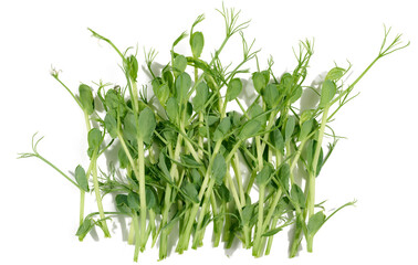 Sprouted pea seeds, microgreens for salad, detox