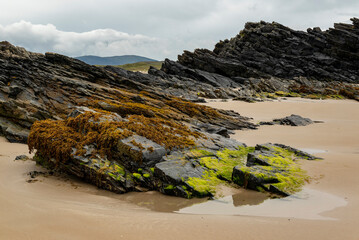 Bizarre layered rock formations buried in the sand of Tramore beach, Kiltoorish, County Donegal,...