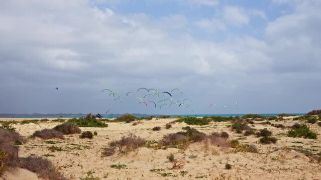 Lots of kites in the dunes against the sky
