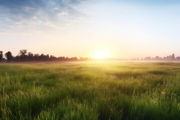 Fototapeta na wymiar Sunrise over a meadow with green grass and trees in the background, Generative AI