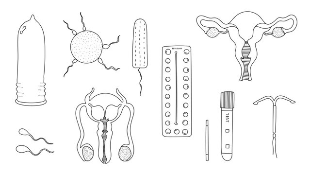 "Sexual Education" Images – Browse 5,298 Stock Photos, Vectors, and