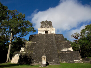 Fototapeta na wymiar Tikal, Guatemala - 18.03.2019: A Mayan temple in Tikal