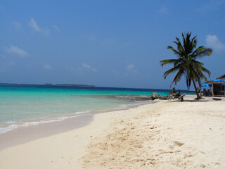 Fototapeta na wymiar Clear water and beautiful beach in the San Blas Islands