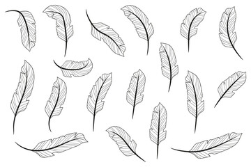 Fototapeta premium Line feather. Hand drawn feathers. Feathers isolated on white background. Feathers coloring book. Vector illustration.