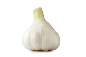 Isolated garlic. White garlic head isolated on a white