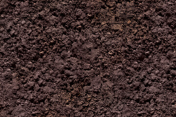 Underground soil texture for background, top view. Gardening or planting concept with copy space.