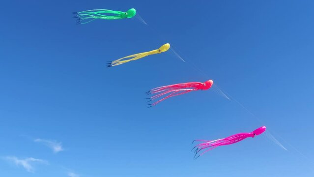 Blue sky with colorful kites in the shape of marine animal