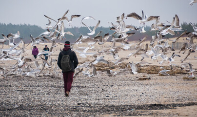 Obraz premium poland