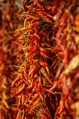 PIMIEMNTOS ROJOS SECOS