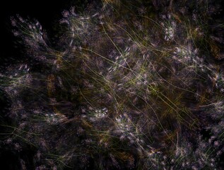 Imaginatory fractal abstract background Image