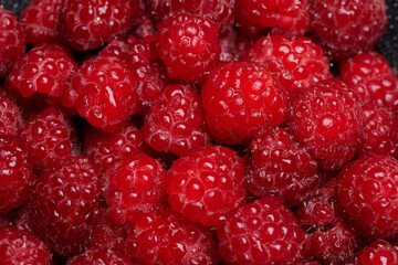 diferentes angulos y detalles de frambuesas rojas