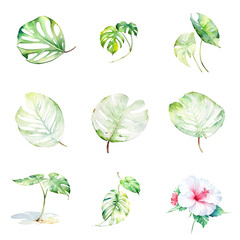 Tropical watercolor set, generative ai illustration, hand drawn style