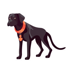 Cute purebred puppy in white backgrounds