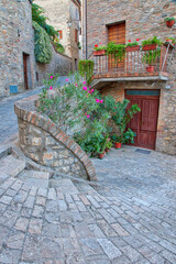 Italy, Umbria. Walkway lined with flowers in the historic town of Montone.