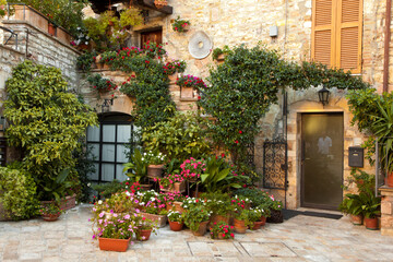 Italy, Umbria. Colorful flowers outside a home in the Italian hill town of Assisi.