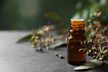 Bottle of eucalyptus essential oil and plant branches on grey table, space for text