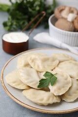 Delicious dumplings (varenyky) with tasty filling and parsley on light grey table, closeup
