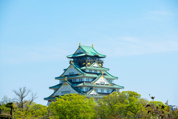 Fototapeta premium 爽やかな初夏の青空と大阪城