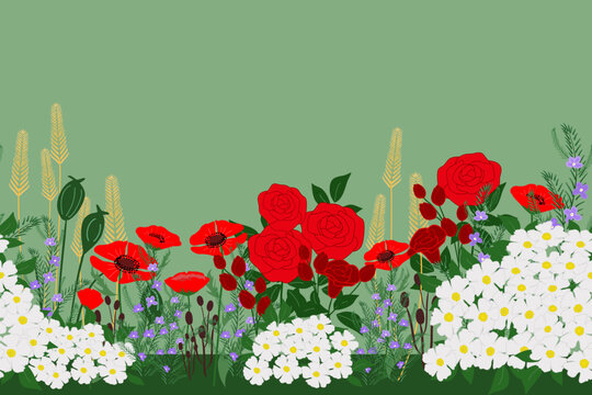 Anzac Day Background Memorial Day Australia Vector Illustration Poppy, Rosemary, Rose.